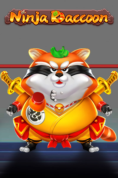 Ninja Raccoon